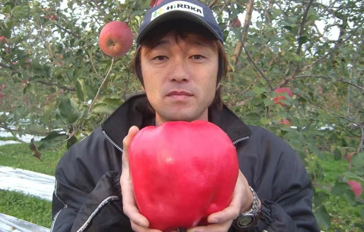 La mela più pesante